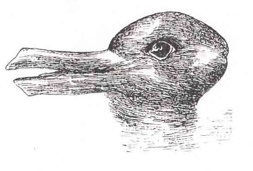 Check out this classic optical illusion, do you see a duck or a rabbit? Perhaps you see both.