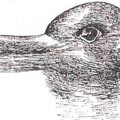 Duck or Rabbit? Optical Illusion Picture