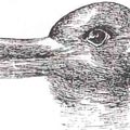 Duck or Rabbit?