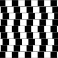 Parallel Lines Optical Illusion