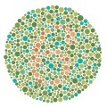 Ishihara Plate Picture